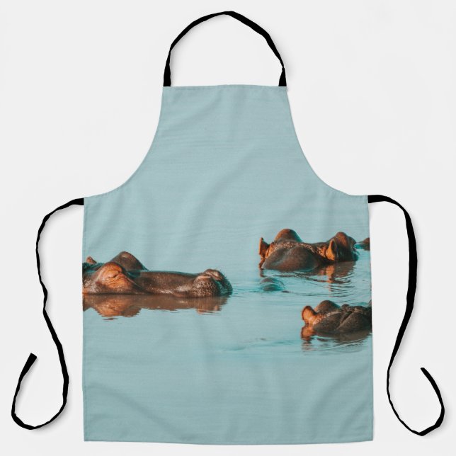 HIPPOS COOLING OFF IN THE DAM APRON (Front)