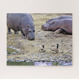 HIPPOS JIGSAW PUZZLE