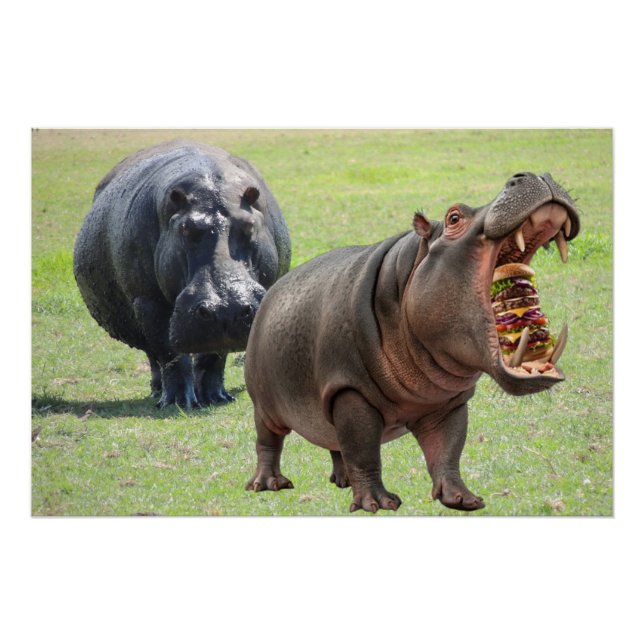 Hippos love Burgers. Poster (Front)