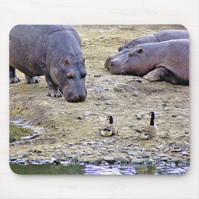 HIPPOS MOUSE PAD (Front)