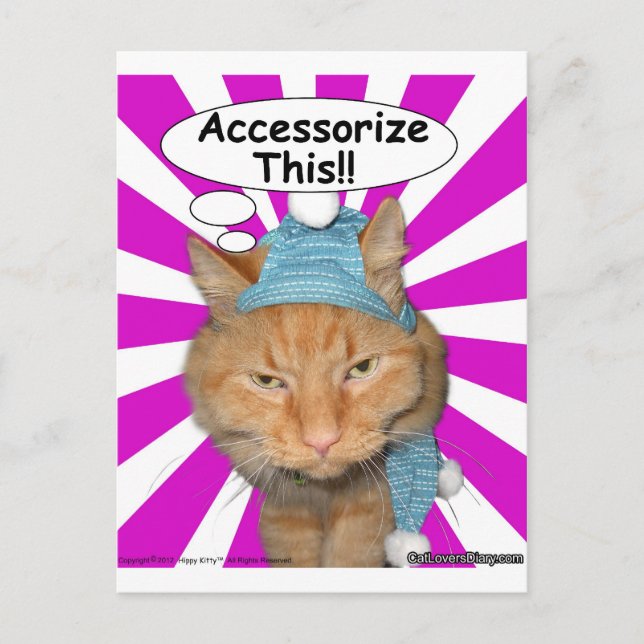 Hippy Kitty Accessorise This!! Postcard (Front)
