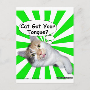 Hippy Kitty Cat Got Your Tongue? Postcard