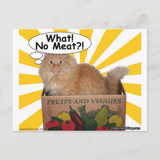 Hippy Kitty What! No Meat?! Postcard
