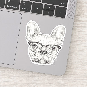 Hipster Bulldog