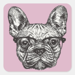 Hipster Bulldog Square Sticker