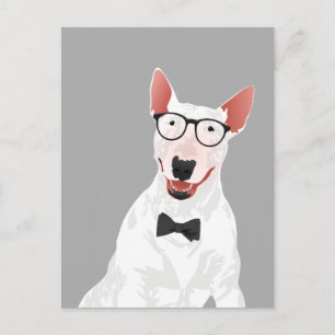 Hipster English Bull Terrier Dog Postcard