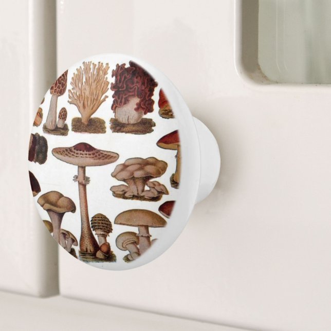 hipster french botanical print vintage mushrooms ceramic knob (hipster french botanical print vintage mushrooms ceramic knob)