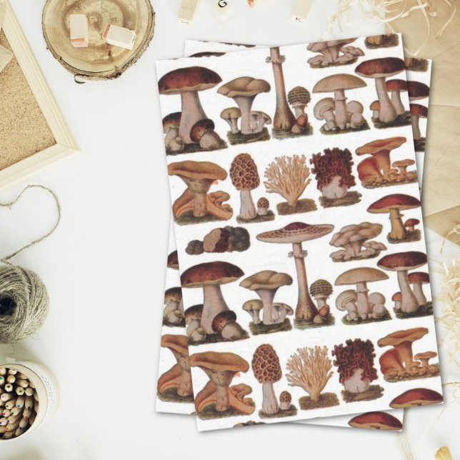 hipster french botanical print vintage mushrooms tissue paper (hipster french botanical print vintage mushrooms tissue paper)