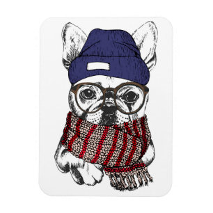 Hipster French Bull Dog Magnet
