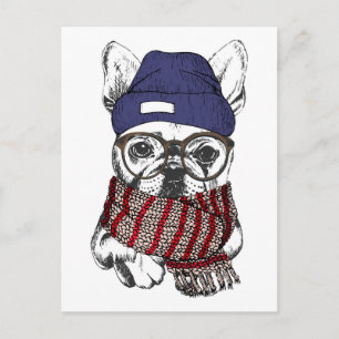 Hipster French Bull Dog Postcard