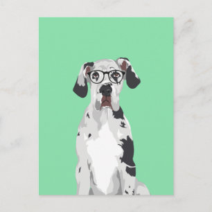 Hipster Great Dane for Dog Lovers Postcard
