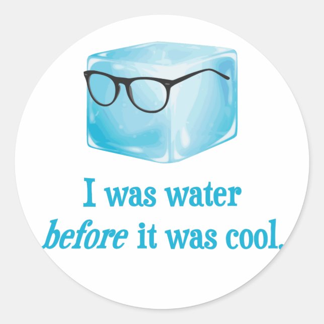 Hipster Ice Cube Was Water Before It Was Cool Classic Round Sticker (Front)
