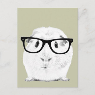Hipster Pigster Postcard