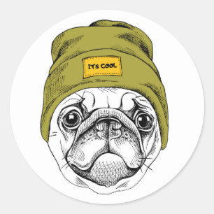 Hipster Pug   It's Cool Classic Round Sticker