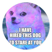 Hired Dog