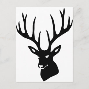 Hirsch Geweih Hirschgeweih Wild Elch Reh Stag Deer Postcard