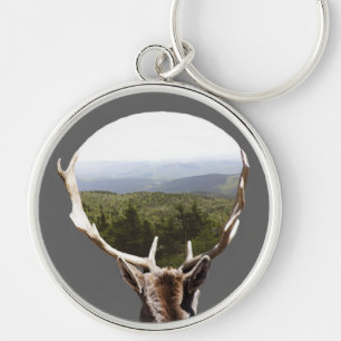 His Domain Key Ring