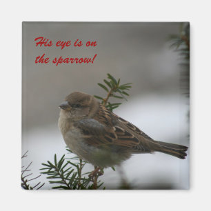 His eye is on the sparrow! Magnet