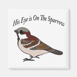 His eye is on the Sparrow Magnet