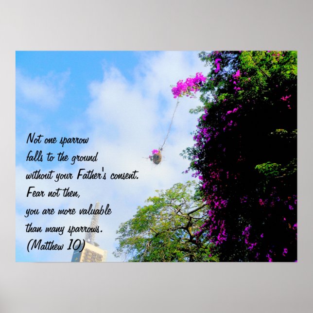 His Eye is on the Sparrow Poster (Front)