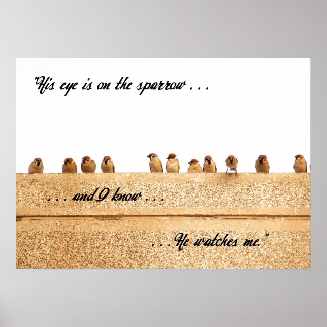 His Eye is on the Sparrow . . . Poster (Front)