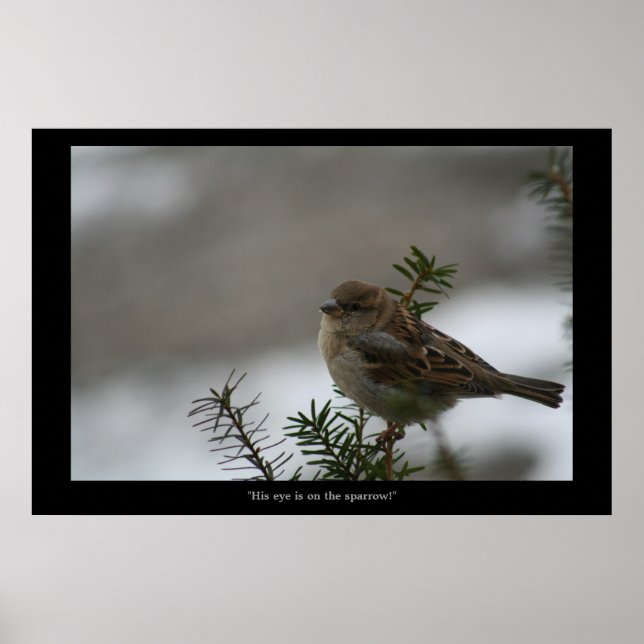 "His eye is on the Sparrow! poster (Front)