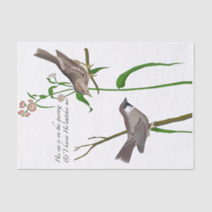 His Eye is on the Sparrow Tissue Paper