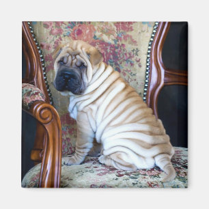 His Favourite Chair Magnet