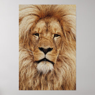 His Royal Highness Print