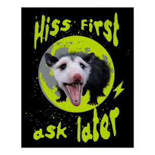 Hiss first, ask later Funny Opossum Hissing Poster