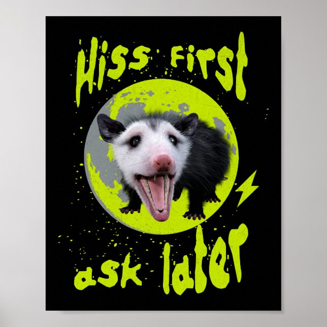 Hiss First Ask Later Funny Opossum Humour  Poster (Front)