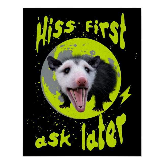 Hiss First Ask Later Funny Opossum Humour  Poster (Front)