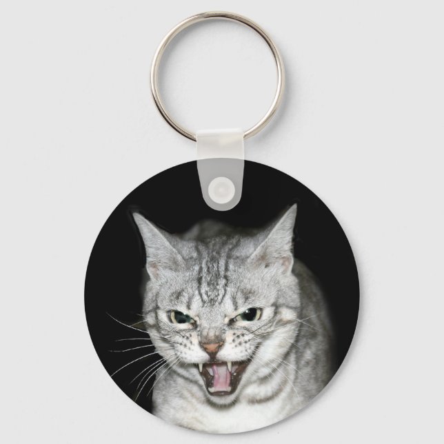 Hissing cat key ring (Front)