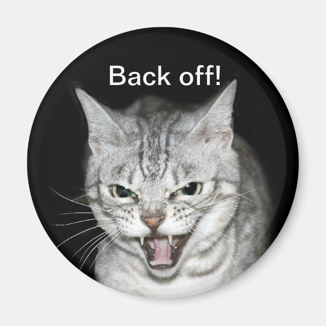 Hissing cat magnet (Front)