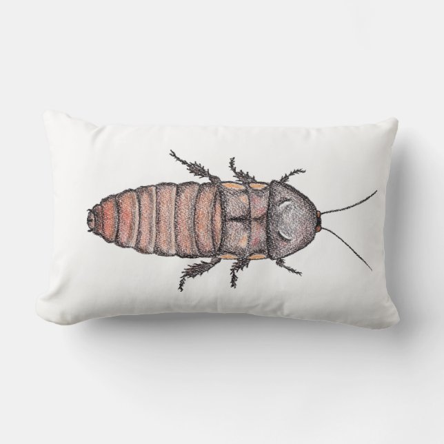 Hissing Cockroach Pillow (Front)