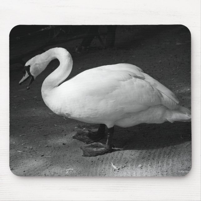 HiSSs Mouse Pad (Front)