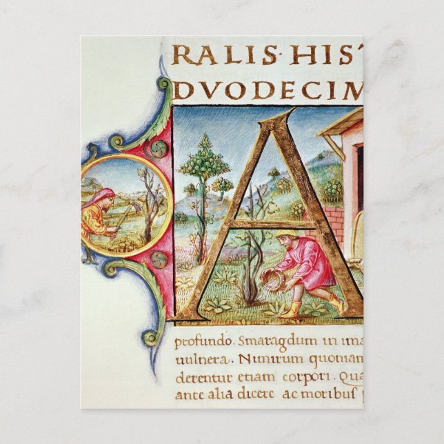 Historiated initial 'A' depicting Postcard (Front)