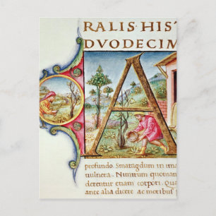 Historiated initial 'A' depicting Postcard