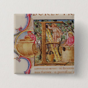 Historiated initial 'E' depicting grape picking 15 Cm Square Badge