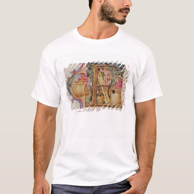 Historiated initial 'E' depicting grape picking T-Shirt (Front)