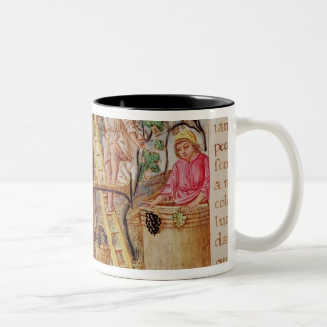 Historiated initial 'E' depicting grape picking Two-Tone Coffee Mug (Right)