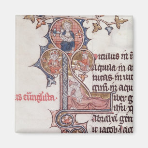Historiated initial 'L' depicting Tree of Magnet