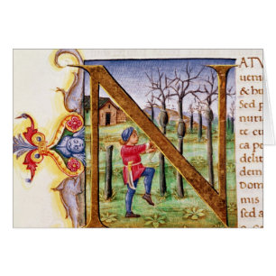 Historiated Initial 'N'