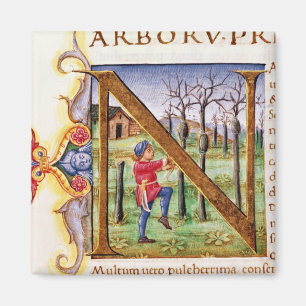 Historiated Initial 'N' Magnet