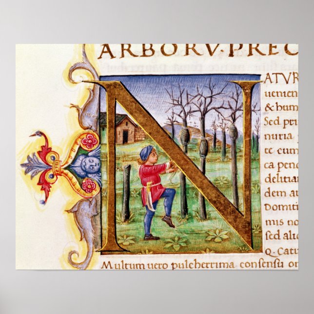 Historiated Initial 'N' Poster (Front)