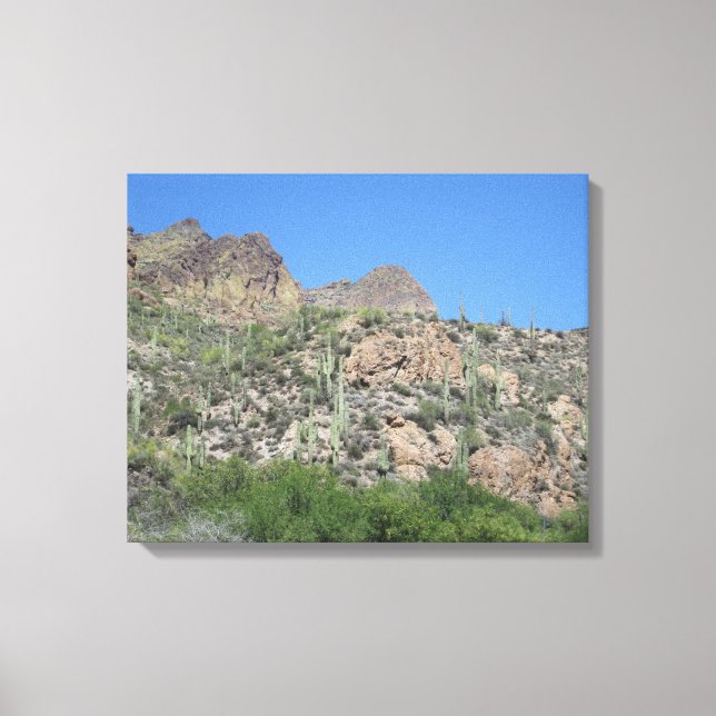 Historic Apache Trail Canvas Print (Front)