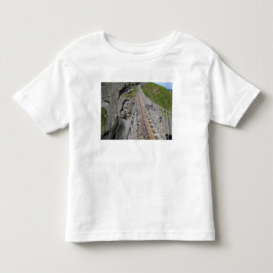 Historic Carrick-a-rede rope bridge, Northern Toddler T-Shirt