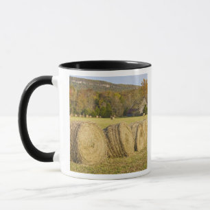 Historic farm in the Buffalo National River, Mug