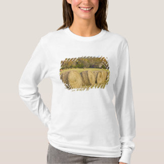 Historic farm in the Buffalo National River, T-Shirt