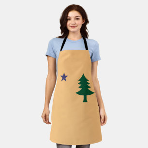 Historic Flag of Maine (1901–1909) Apron
